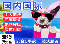 潍坊机场托运国际宠物托运 【国